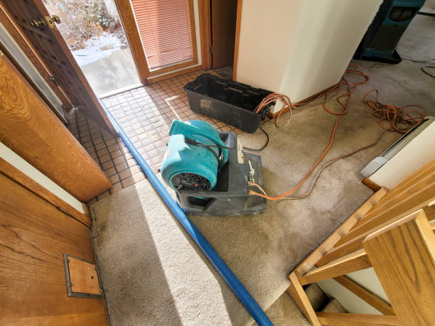 Best Fire Damage Restoration  in Huntsville, TX