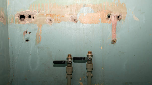  Huntsville, TX Water damage restoration Pros
